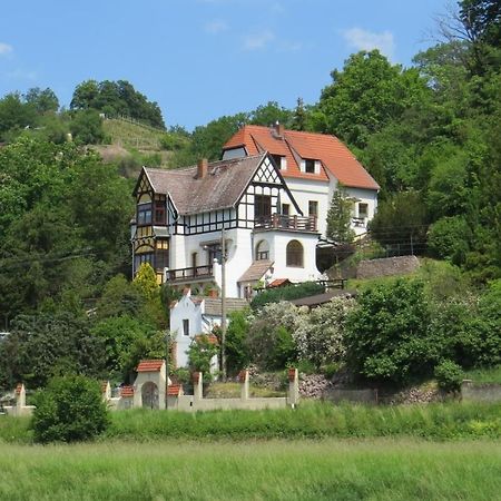 Ferienwohnung Elbsommer Am Weinberg Meissen Bagian luar foto