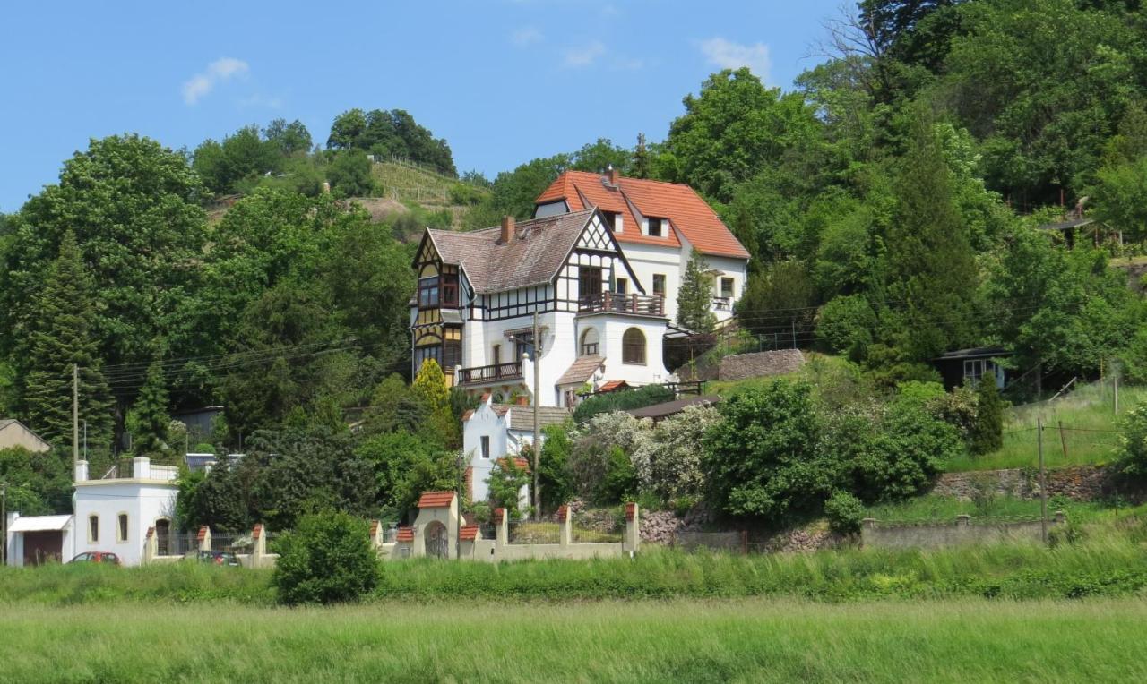 Ferienwohnung Elbsommer Am Weinberg Meissen Bagian luar foto