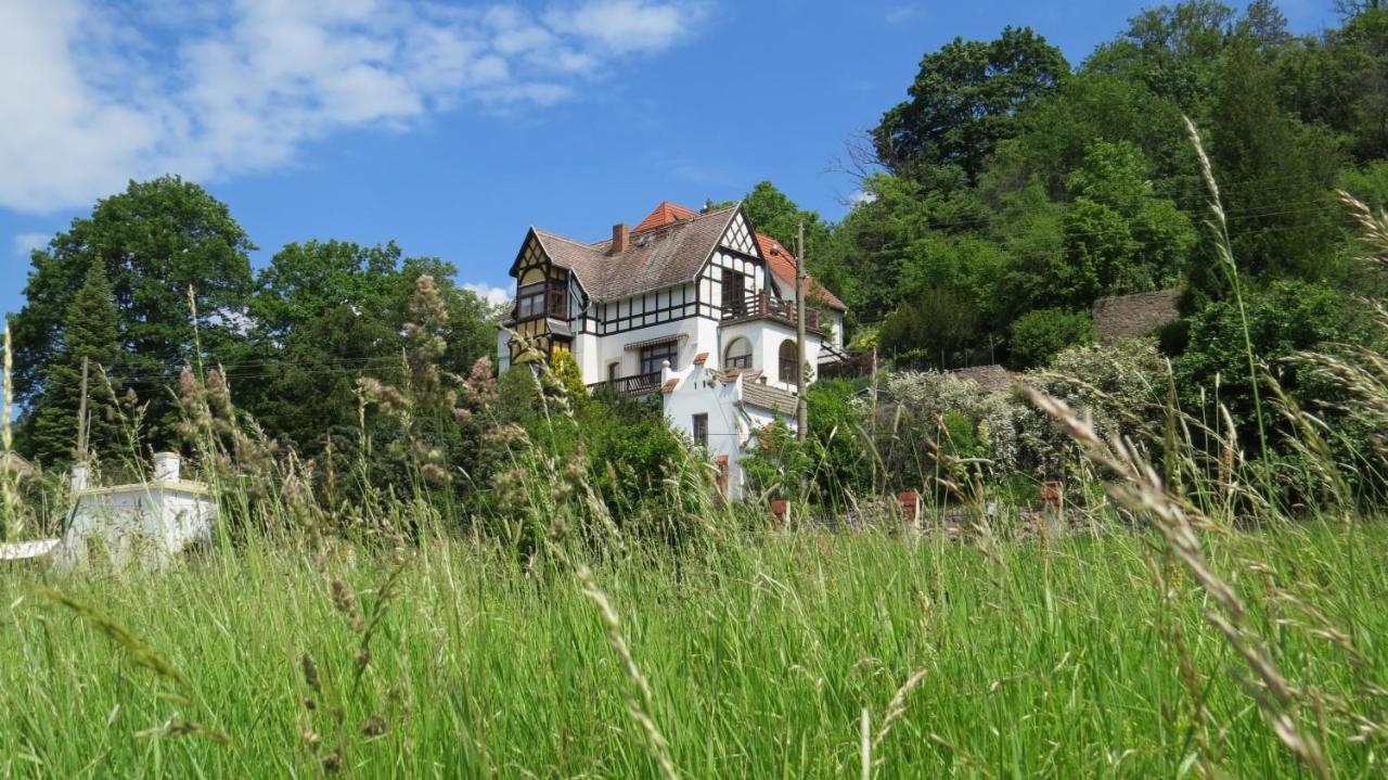 Ferienwohnung Elbsommer Am Weinberg Meissen Bagian luar foto